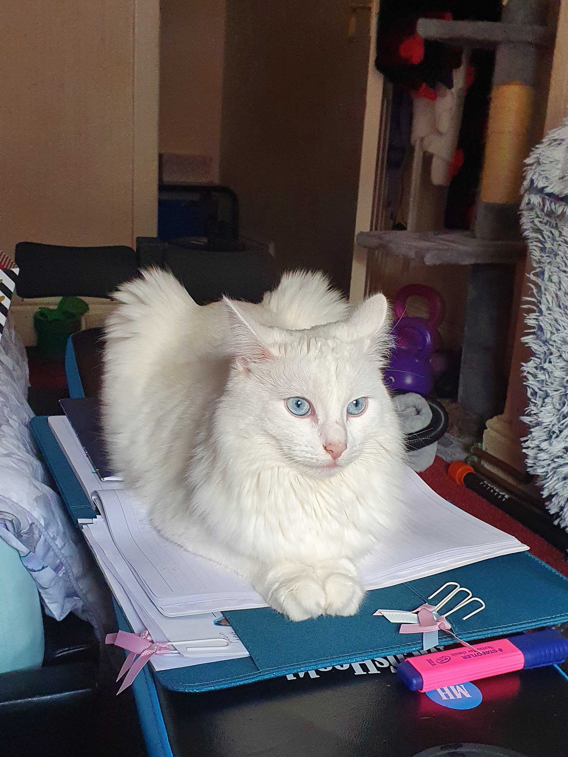 notebook loaf