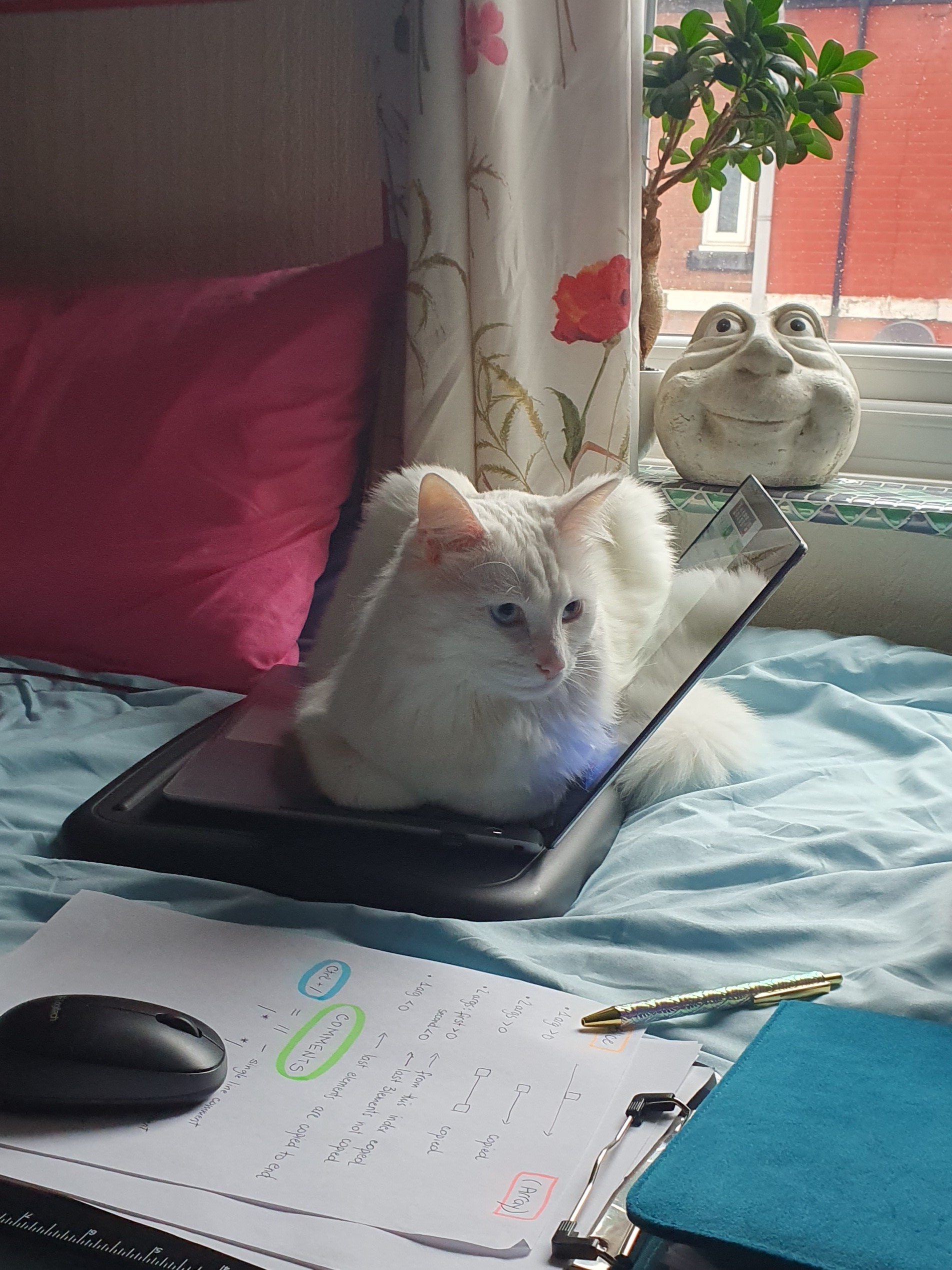 laptop loaf